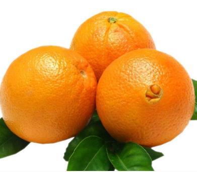 眉山脐橙是眉山众多果品中的上品,1985年参加全国优质果品质鉴评荣获"