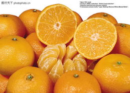 蔬果特写0168 蔬果特写图 水果食品图库 切开的橙子